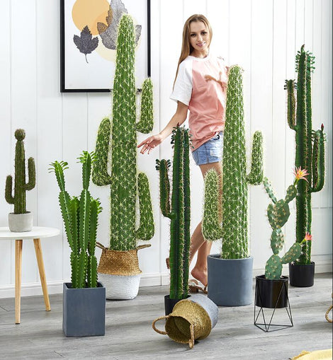 Simulated Cactus Plant