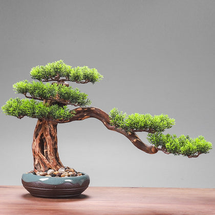 Japanese Bonsai Decor