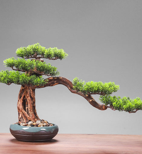 Japanese Bonsai Decor