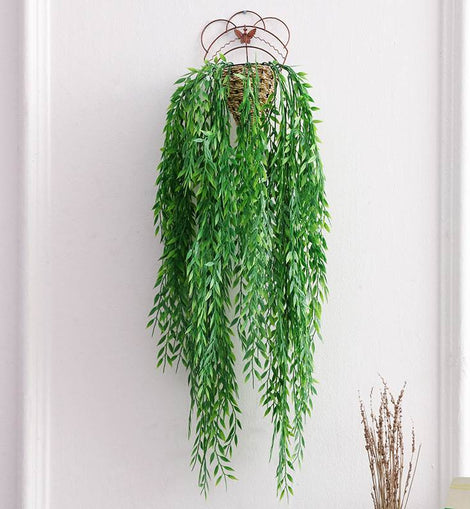 Hanging Plant Vine Setup