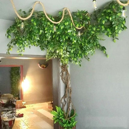 Ceiling Foilage Plant