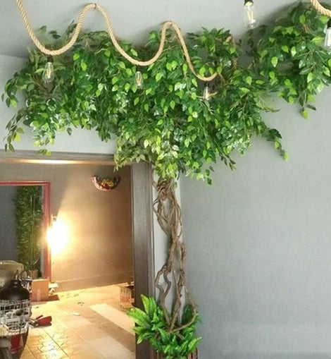 Ceiling Foilage Plant