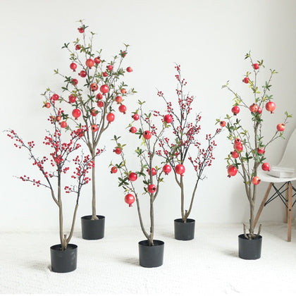 Fruit Tree Bonsai