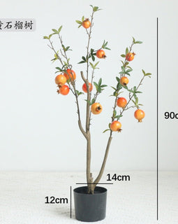 Fruit Tree Bonsai