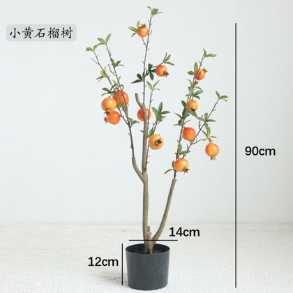 Fruit Tree Bonsai