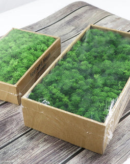 Natural Moss Box