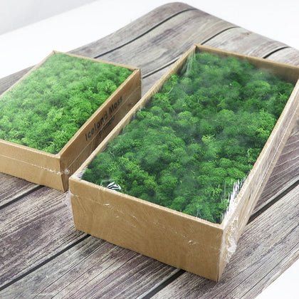 Natural Moss Box